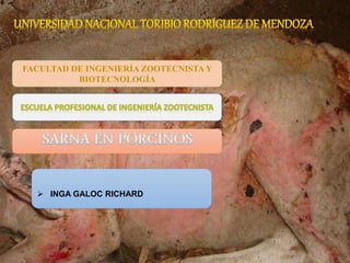 FACULTAD DE INGENIERÍA ZOOTECNISTA Y
BIOTECNOLOGÍA
 INGA GALOC RICHARD
 