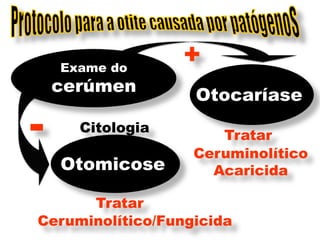 Exame do
                  +
    cerúmen
                   Otocaríase

-     Citologia
                      Tratar
                   Ceruminolítico
    Otomicose        Acaricida

      Tratar
Ceruminolítico/Fungicida
 