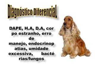 DAPE, H.A, D.A, cor
 po estranho, erro
         de
manejo, endocrinop
  atias, umidade
excessiva,    bacté
    rias/fungos
 