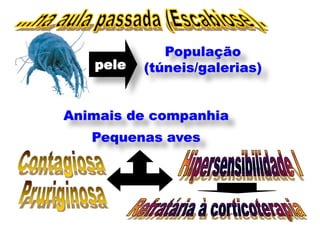 População
   pele   (túneis/galerias)


Animais de companhia
   Pequenas aves
 