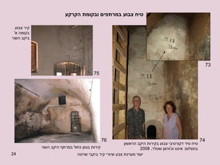 טיח צבוע במרתפים ובקומת הקרקע טיח סיד דקורטיבי צבוע בקירות היקב הראשון בתצלום :  אינגו וג ' והאן שטלר , 2008 קירות בגוון כחול במרתף היקב השני 73 74 75 76 קיר צבוע בקומה א ' ביקב השני 