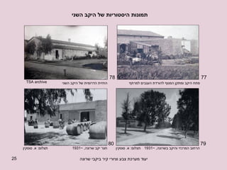 תמונות היסטוריות של היקב השני חצר יקב שרונה , ~1931 הרחוב המרכזי והיקב בשרונה , ~1931 פתח היקב ומתקן המנוף להורדת הענבים למרתף 77 78 79 80 תצלום :  א .  סוסקין תצלום :  א .  סוסקין החזית הדרומית של היקב השני TSA archive 