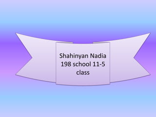 Shahinyan Nadia
198 school 11-5
class
 