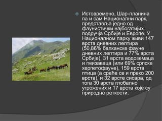  Истовремено, Шар-планина
па и сам Национални парк,
представља једно од
фаунистички најбогатијих
подручја Србије и Европе. У
Националном парку живи 147
врста дневних лептира
(50,86% балканске фауне
дневних лептира и 77% врста
Србије), 31 врста водоземаца
и гмизаваца (или 69% српске
херпетофауне), 159 врста
птица (а среће се и преко 200
врста), и 32 врсте сисара, од
тога 30 врста глобално
угрожених и 17 врста које су
природне реткости.
 