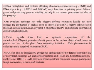 DNA methylation and proteins affecting chromatin architecture (e.g., SNI1) and
DNA repair (e.g., RAD51 and BRCA2) may function in priming plant defense
genes and protecting genome stability not only in the current generation but also in
the progeny.
An avirulent pathogen not only triggers defense responses locally but also
induces the production of signals such as salicylic acid (SA), methyl salicylic acid
(MeSA), azelaic acid (AzA), glycerol-3-phosphate (G3P), and abietane diterpenoid
dehydroabietinal (DA).
 These signals then lead to systemic expression of the
antimicrobial PR(pathogenesis-related) genes in the un inoculated distal tissue to
protect the rest of the plant from secondary infection . This phenomenon is
called systemic acquired resistance (SAR).
SAR can also be induced by exogenous application of the defense hormone SA
or its synthetic analogs 2,6-dichloroisonicotinic acid (INA) and benzothiadiazole S-
methyl ester (BTH) . SAR provides broad-spectrum resistance against pathogenic
fungi, oomycetes, viruses, and bacteria.
 