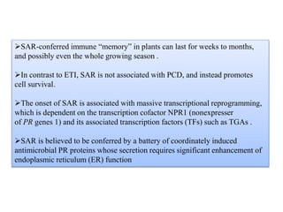 SAR-conferred immune “memory” in plants can last for weeks to months,
and possibly even the whole growing season .
In contrast to ETI, SAR is not associated with PCD, and instead promotes
cell survival.
The onset of SAR is associated with massive transcriptional reprogramming,
which is dependent on the transcription cofactor NPR1 (nonexpresser
of PR genes 1) and its associated transcription factors (TFs) such as TGAs .
SAR is believed to be conferred by a battery of coordinately induced
antimicrobial PR proteins whose secretion requires significant enhancement of
endoplasmic reticulum (ER) function
 