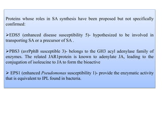Proteins whose roles in SA synthesis have been proposed but not specifically
confirmed:
EDS5 (enhanced disease susceptibility 5)- hypothesized to be involved in
transporting SA or a precursor of SA .
PBS3 (avrPphB susceptible 3)- belongs to the GH3 acyl adenylase family of
enzymes. The related JAR1protein is known to adenylate JA, leading to the
conjugation of isoleucine to JA to form the bioactive
 EPS1 (enhanced Pseudomonas susceptibility 1)- provide the enzymatic activity
that is equivalent to IPL found in bacteria.
 