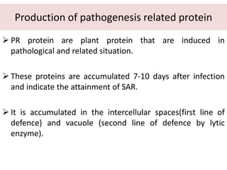 Production of pathogenesis related protein
 PR protein are plant protein that are induced in
pathological and related situation.
 These proteins are accumulated 7-10 days after infection
and indicate the attainment of SAR.
 It is accumulated in the intercellular spaces(first line of
defence) and vacuole (second line of defence by lytic
enzyme).
 