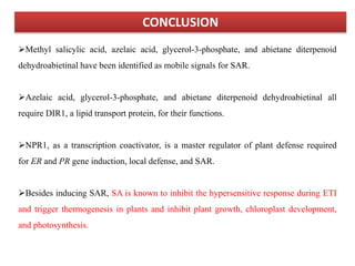 CONCLUSION
Methyl salicylic acid, azelaic acid, glycerol-3-phosphate, and abietane diterpenoid
dehydroabietinal have been identified as mobile signals for SAR.
Azelaic acid, glycerol-3-phosphate, and abietane diterpenoid dehydroabietinal all
require DIR1, a lipid transport protein, for their functions.
NPR1, as a transcription coactivator, is a master regulator of plant defense required
for ER and PR gene induction, local defense, and SAR.
Besides inducing SAR, SA is known to inhibit the hypersensitive response during ETI
and trigger thermogenesis in plants and inhibit plant growth, chloroplast development,
and photosynthesis.
 