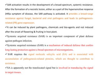 SAR activation results in the development of a broad-spectrum, systemic resistance.
After the formation of a necrotic lesion, either as a part of the hypersensitive response
(HR)a symptom of disease, the SAR pathway is activated. It provides a broad-range
resistance against fungal, bacterial and viral pathogens and leads to pathogenesis-
related (PR) gene expression.
It can be induced by plant pathogens, chemicals and bio-agents and not induced
after the onset of flowering & fruiting in host plant.
Systemic acquired resistance (SAR) is an important component of plant defense
against pathogen infection.
Systemic acquired resistance (SAR) is a mechanism of induced defense that confers
long-lasting protection against a broad spectrum of microorganisms.
 SAR requires the signal molecule salicylic acid (SA) and is associated with
accumulation of pathogenesis-related proteins, which are thought to contribute to
resistance.
SA is apparently not the translocated signal but is involved in transducing the signal
in target tissues.
 