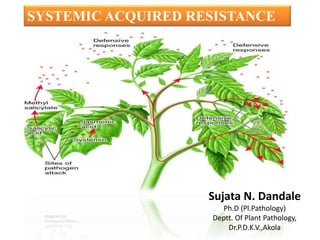 SYSTEMIC ACQUIRED RESISTANCE
Sujata N. Dandale
Ph.D (Pl.Pathology)
Deptt. Of Plant Pathology,
Dr.P.D.K.V.,Akola
 