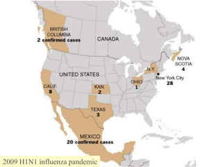 2009 H1N1 influenza pandemic
 