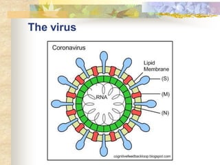 The virus
 