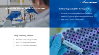 SARS-CoV-2 Preclinical Research
Drug Discovery Services
In Vitro Diagnostic (IVD) Development
• Anti-SARS-CoV-2 Drug Discovery
• Antibody & Immunoassay Development Services
Creative Biolabs’ SARS-CoV-2 Services
• SARS-CoV-2 Vaccine Discovery
• SARS-CoV-2 Preclinical Research
• Molecular Diagnostic Assay Development Services
• SARS-CoV-2 Related Detection Kits
 