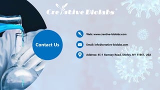 Address: 45-1 Ramsey Road, Shirley, NY 11967, USA
Email: info@creative-biolabs.com
Web: www.creative-biolabs.com
Contact Us
 