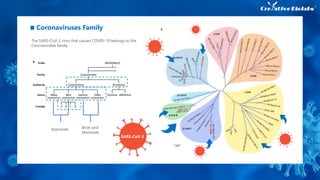 Mammals Birds and
Mammals
The SARS-CoV-2 virus that causes COVID-19 belongs to the
Coronaviridae family.
SARS-CoV-2
Coronaviruses Family
 