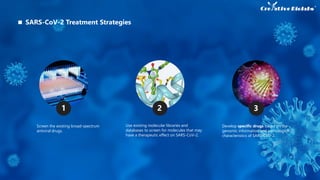 Screen the existing broad-spectrum
antiviral drugs.
Use existing molecular libraries and
databases to screen for molecules that may
have a therapeutic effect on SARS-CoV-2.
Develop specific drugs based on the
genomic information and pathological
characteristics of SARS-CoV-2.
1 2 3
SARS-CoV-2 Treatment Strategies
 