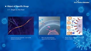 3-1. Target to the Host
• Enhance immune response - such as the
release of interferon.
• Block the signal pathways
required for virus replication.
• Target viral and cell surface receptor
proteins (ACE2).
Object of Specific Drugs
 