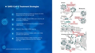 Monoclonal antibody/convalescent plasma for ACE2:
Prevent the virus into the host cell.1
science.sciencemag.org/content/367/6485/1412
Camostat mesylate: Prevent SARS-CoV-2 into the cell
by acting on TMPRSS2.2
Lopinavir-Ritonavir: Inhibition of protease activity of
SARS-CoV-2.3
Ribavirin- May inhibit mRNA capping.4
RNA Synthesis Inhibitors: Inhibits SARS-CoV-2 RNA
synthesis and replication.
5
Neuraminidase Inhibitors (NAIs)-Interfere with the
release of progeny influenza virus from infected
host cells.
66
SARS-CoV-2 Treatment Strategies
NAIs
RNA Synthesis
Inhibitors
①
②
③
④
⑤
⑥
 