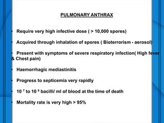 PULMONARY ANTHRAX
• Require very high infective dose ( > 10,000 spores)
• Acquired through inhalation of spores ( Bioterrorism - aerosol)
• Present with symptoms of severe respiratory infection( High fever
& Chest pain)
• Haemorrhagic mediastinitis
• Progress to septicemia very rapidly
• 10 7 to 10 9 bacilli/ ml of blood at the time of death
• Mortality rate is very high > 95%
 