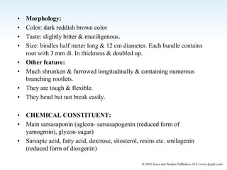 • Morphology:
• Color: dark reddish brown color
• Taste: slightly bitter & muciligenous.
• Size: bindles half meter long & 12 cm diameter. Each bundle contains
root with 3 mm di. In thickness & doubled up.
• Other feature:
• Much shrunken & furrowed longitudinally & containing numerous
branching rootlets.
• They are tough & flexible.
• They bend but not break easily.
• CHEMICAL CONSTITUENT:
• Main sarsasaponin (aglcon- sarsasapogenin (reduced form of
yamogrnin), glycon-sugar)
• Sarsapic acid, fatty acid, dextrose, sitosterol, resins etc. smilagenin
(reduced form of diosgenin)
 