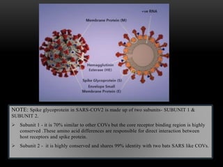 NOTE: Spike glycoprotein in SARS-COV2 is made up of two subunits- SUBUNIT 1 &
SUBUNIT 2.
 Subunit 1 - it is 70% similar to other COVs but the core receptor binding region is highly
conserved .These amino acid differences are responsible for direct interaction between
host receptors and spike protein.
 Subunit 2 - it is highly conserved and shares 99% identity with two bats SARS like COVs.
 