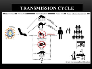 TRANSMISSION CYCLE
 