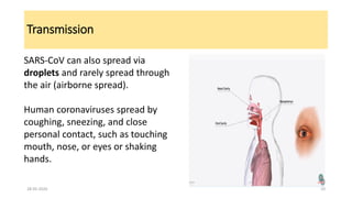Transmission
SARS-CoV can also spread via
droplets and rarely spread through
the air (airborne spread).
Human coronaviruses spread by
coughing, sneezing, and close
personal contact, such as touching
mouth, nose, or eyes or shaking
hands.
28-05-2020 10
 