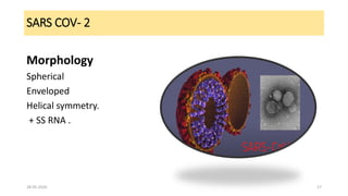 SARS COV- 2
Morphology
Spherical
Enveloped
Helical symmetry.
+ SS RNA .
28-05-2020 17
 