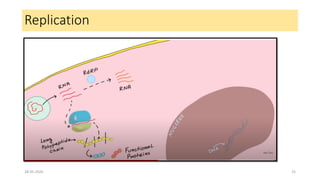 Replication
28-05-2020 25
 