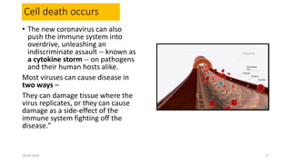 Cell death occurs
• The new coronavirus can also
push the immune system into
overdrive, unleashing an
indiscriminate assault -- known as
a cytokine storm -- on pathogens
and their human hosts alike.
Most viruses can cause disease in
two ways –
They can damage tissue where the
virus replicates, or they can cause
damage as a side-effect of the
immune system fighting off the
disease."
28-05-2020 27
 