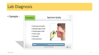 Lab Diagnosis
• Sample -
28-05-2020 31
 