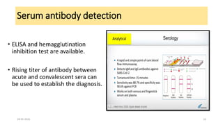 Serum antibody detection
• ELISA and hemagglutination
inhibition test are available.
• Rising titer of antibody between
acute and convalescent sera can
be used to establish the diagnosis.
28-05-2020 33
 