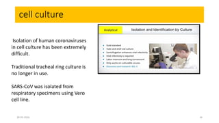 cell culture
Isolation of human coronaviruses
in cell culture has been extremely
difficult.
Traditional tracheal ring culture is
no longer in use.
SARS-CoV was isolated from
respiratory specimens using Vero
cell line.
28-05-2020 34
 