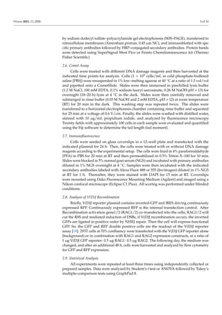 Viruses 2021, 13, 2056 3 of 10
by sodium dodecyl sulfate–polyacrylamide gel electrophoresis (SDS–PAGE), transferred to
nit...