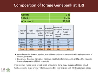 Opportunities from the genetic diversity of the ILRI genebank forage germplasm collection