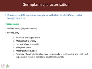 Opportunities from the genetic diversity of the ILRI genebank forage germplasm collection