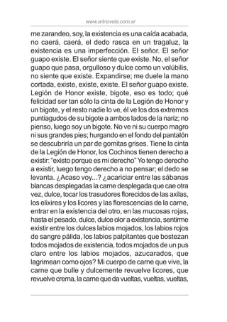 www.artnovela.com.ar
me zarandeo, soy, la existencia es una caída acabada,
no caerá, caerá, el dedo rasca en un tragaluz, la
existencia es una imperfección. El señor. El señor
guapo existe. El señor siente que existe. No, el señor
guapo que pasa, orgulloso y dulce como un volúbilis,
no siente que existe. Expandirse; me duele la mano
cortada, existe, existe, existe. El señor guapo existe.
Legión de Honor existe, bigote, eso es todo; qué
felicidad ser tan sólo la cinta de la Legión de Honor y
un bigote, y el resto nadie lo ve, él ve los dos extremos
puntiagudos de su bigote a ambos lados de la nariz; no
pienso, luego soy un bigote. No ve ni su cuerpo magro
ni sus grandes pies; hurgando en el fondo del pantalón
se descubriría un par de gomitas grises. Tiene la cinta
de la Legión de Honor, los Cochinos tienen derecho a
existir: “existo porque es mi derecho”Yo tengo derecho
a existir, luego tengo derecho a no pensar; el dedo se
levanta. ¿Acaso voy...? ¿acariciar entre las sábanas
blancasdesplegadaslacarnedesplegadaquecaeotra
vez, dulce, tocar los trasudores florecidos de las axilas,
los elixires y los licores y las florescencias de la carne,
entrar en la existencia del otro, en las mucosas rojas,
hastaelpesado,dulce,dulceoloraexistencia,sentirme
existir entre los dulces labios mojados, los labios rojos
de sangre pálida, los labios palpitantes que bostezan
todos mojados de existencia, todos mojados de un pus
claro entre los labios mojados, azucarados, que
lagrimean como ojos? Mi cuerpo de carne que vive, la
carne que bulle y dulcemente revuelve licores, que
revuelvecrema,lacarnequedavueltas,vueltas,vueltas,
 