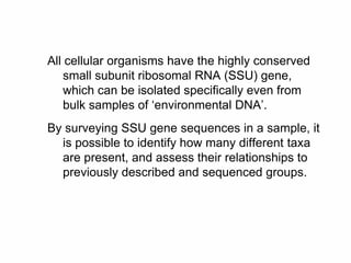All cellular organisms have the highly conserved
small subunit ribosomal RNA (SSU) gene,
which can be isolated specifically even from
bulk samples of ‘environmental DNA’.
By surveying SSU gene sequences in a sample, it
is possible to identify how many different taxa
are present, and assess their relationships to
previously described and sequenced groups.
 