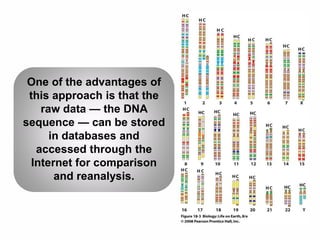 One of the advantages of
this approach is that the
raw data — the DNA
sequence — can be stored
in databases and
accessed through the
Internet for comparison
and reanalysis.
 