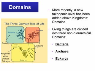 Domains • More recently, a new
taxonomic level has been
added above Kingdoms:
Domains.
• Living things are divided
into three non-hierarchical
Domains:
• Bacteria
• Archaea
• Eukarya
Domains
Domain
Kingdoms
within
Domain
Eukarya
 