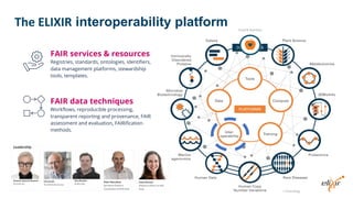 The ELIXIR interoperability platform Food & Nutrition
+ Toxicology
FAIR services & resources
Registries, standards, ontologies, identifiers,
data management platforms, stewardship
tools, templates.
FAIR data techniques
Workflows, reproducible processing,
transparent reporting and provenance, FAIR
assessment and evaluation, FAIRification
methods.
 