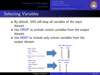 Basics of SAS | PDF