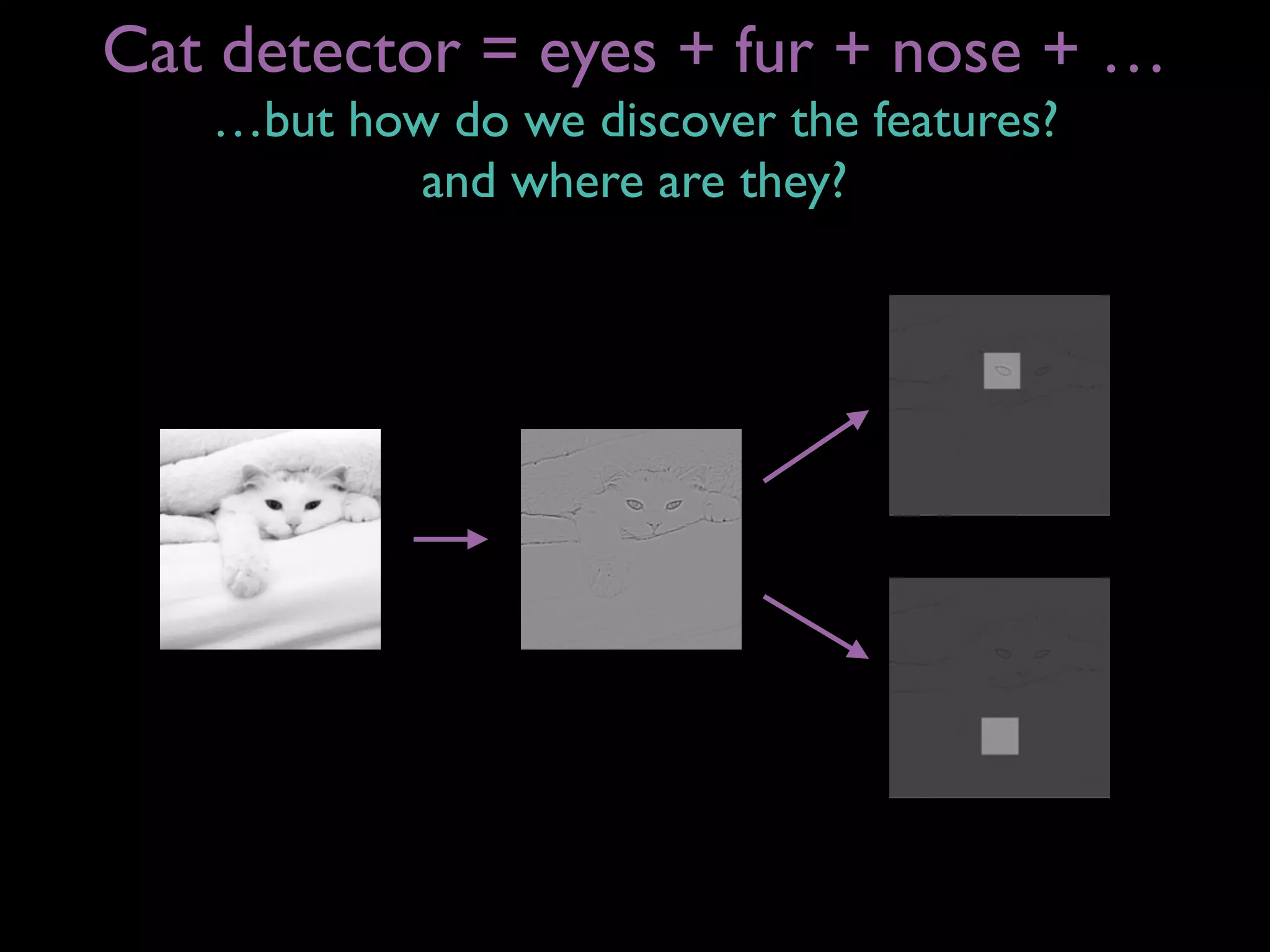 Cat detector = eyes + fur + nose + …
…but how do we discover the features?
and where are they?
 