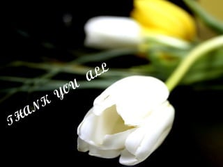 THANK
YOU
ALL
 