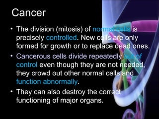 Cancer
• The division (mitosis) of normal cells is
precisely controlled. New cells are only
formed for growth or to replace dead ones.
• Cancerous cells divide repeatedly out of
control even though they are not needed,
they crowd out other normal cells and
function abnormally.
• They can also destroy the correct
functioning of major organs.
 