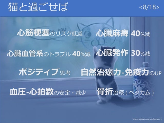 猫のすすめ 猫のすすめ