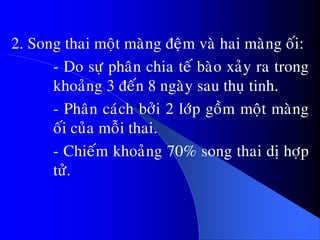 2. Song thai moät maøng ñeäm vaø hai maøng oái:
- Do söï phaân chia teá baøo xaûy ra trong
khoaûng 3 ñeán 8 ngaøy sau thuï tinh.
- Phaân caùch bôûi 2 lôùp goàm moät maøng
oái cuûa moãi thai.
- Chieám khoaûng 70% song thai dò hôïp
töû.
 