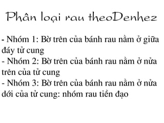 Ph©n lo¹i rau theoDenhez
- Nhãm 1: Bê trªn cña b¸nh rau n»m ë gi÷a
®¸y tö cung
- Nhãm 2: Bê trªn cña b¸nh rau n»m ë nöa
trªn cña tö cung
- Nhãm 3: Bê trªn cña b¸nh rau n»m ë nöa
díi cña tö cung: nhãm rau tiÒn ®¹o
 
