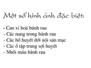 Mét sè h×nh ¶nh ®Æc biÖt:
- Can xi ho¸ b¸nh rau
- C¸c nang trong b¸nh rau
- C¸c hå huyÕt díi néi s¶n m¹c
- C¸c æ tËp trung sîi huyÕt
- Nhåi m¸u b¸nh rau
 